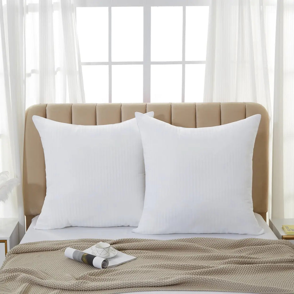 Lot de 2 oreillers blancs 65 x 65 cm vue de face