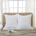 Lot de 2 oreillers blancs 65 x 65 cm vue de face