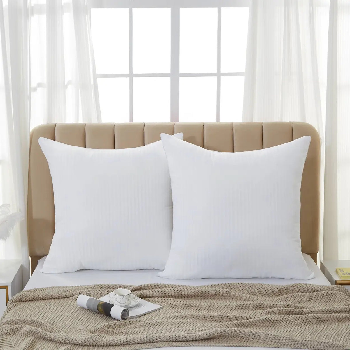 Lot de 2 oreillers blancs 65 x 65 cm vue de face